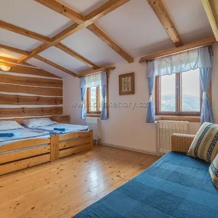 Lion Tatil Evi *